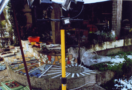 Hier erscheint ein Bild