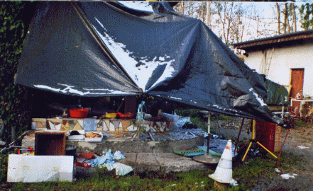 Hier erscheint ein Bild