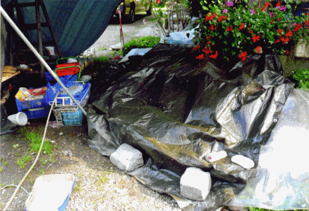 Hier erscheint ein Bild